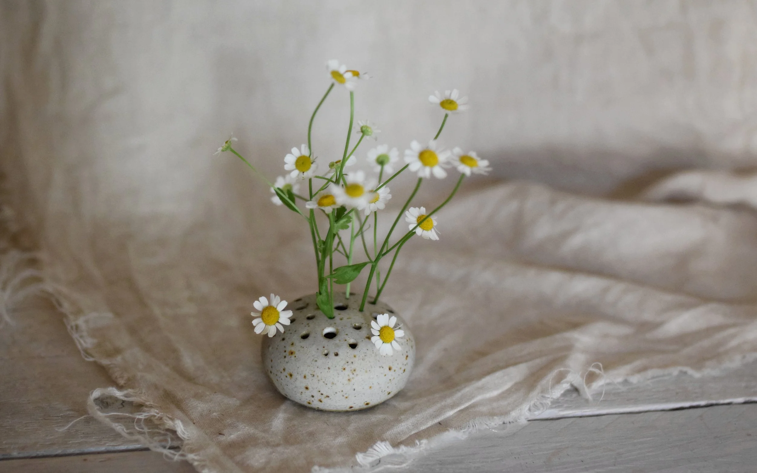 Ikebana at home by Faye Twinn of Twinn Pottery — TWINN POTTERY